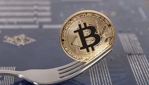 Bitcoin fork invest in bitcoin
