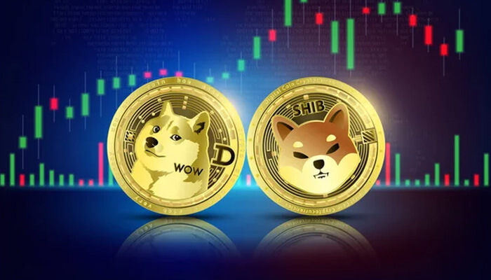 Shiba inu and dogecoin  meme coins