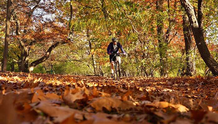 Autumn leaves cycling