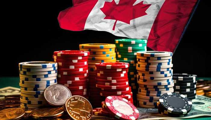 Factors to consider when choosing the right online casino groups