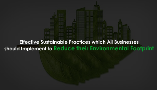 5 Effective Sustainable Practices which All Businesses should Implement to Reduce their Environmental Footprint