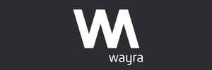 Wayra startup accelerators