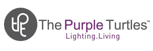 The purple turtles home decor startups