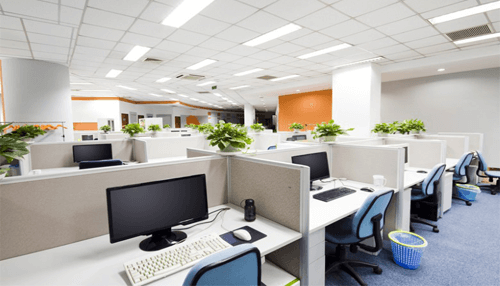 Indoor office plants