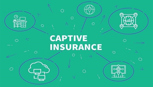Which Captive Insurance Structure is Right for Your Business?