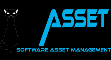 It asset tool asset management software
