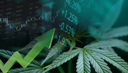 What You Must Know About CBD Business and High Risk Merchants