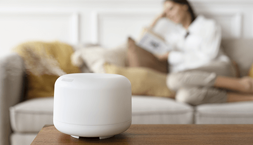 The Most Important Elements to Consider Before Purchasing a Room Humidifier