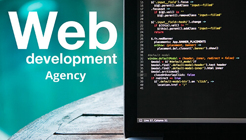 7 Importance of Choosing a Web Development Agency For Your Small Businesses