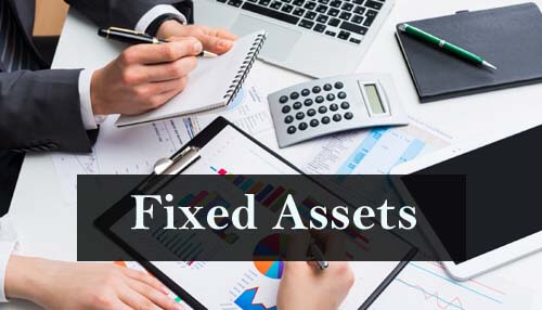 Non current or fixed assets