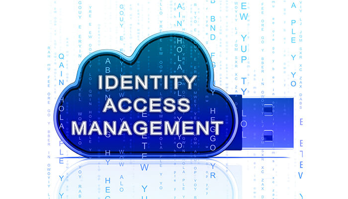 What Is Identity And Access Management (IAM)?