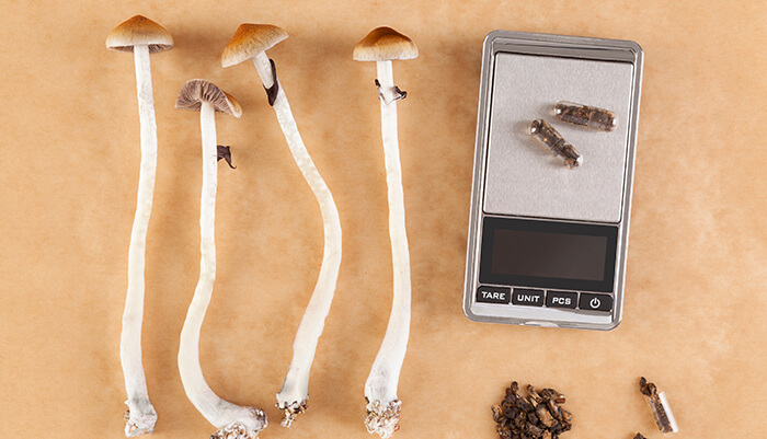 How Does Microdosing Mushrooms Help You Feel Better