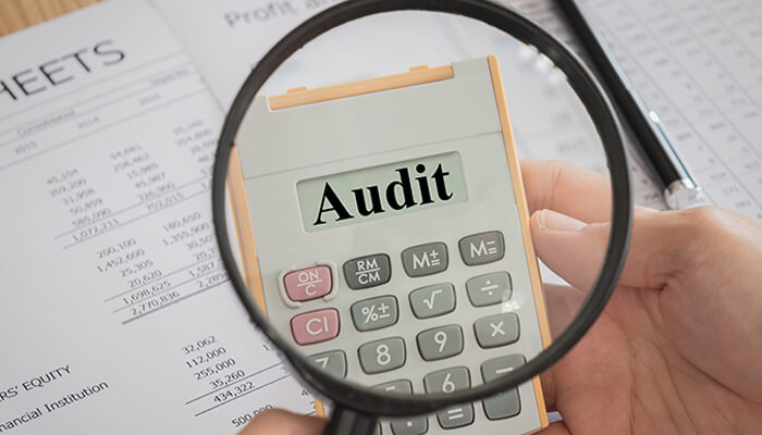 Different Types of Audits That Can Help Your Business growth