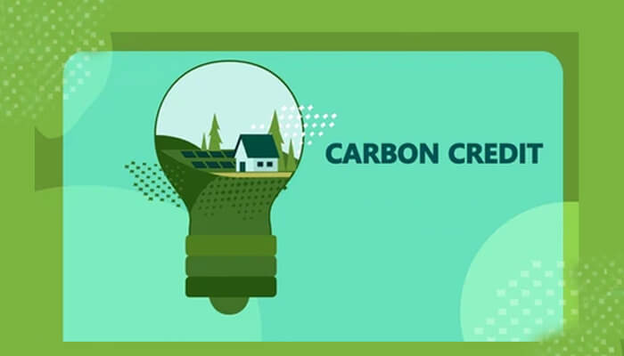 Emerging Business Opportunities and Challenges in Carbon Credits
