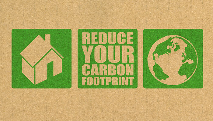 Effective Ways To Reduce Your Carbon Footprint For Your Business