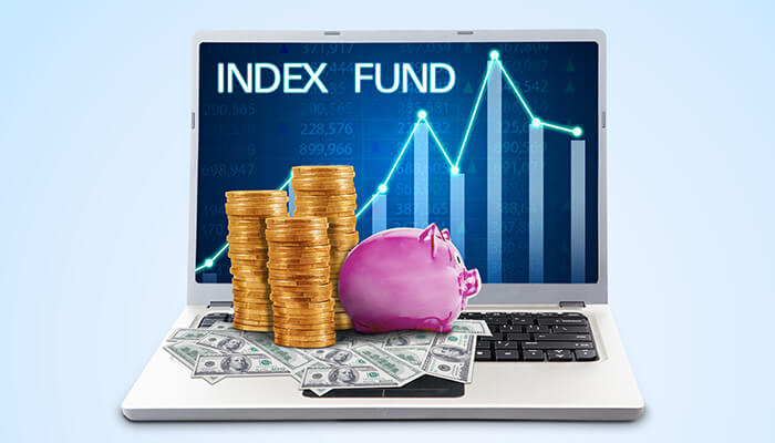 What Are The Advantages And Disadvantages Of Investing In Index Funds?