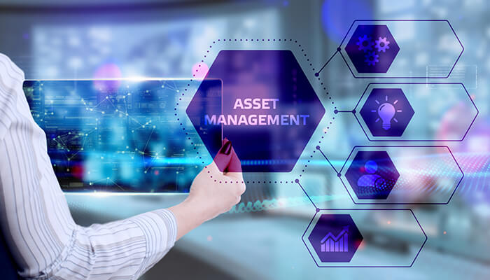 10 Key Features To Look For When Choosing Asset Management Software For Your Businesses