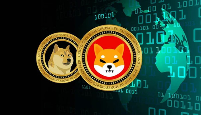 Meme Coins like Shiba Inu, Dogetti, and Dogecoin Could Make all