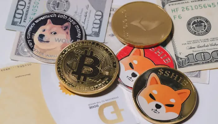 Meme Coins a Crypto Trend to Fade or Stay