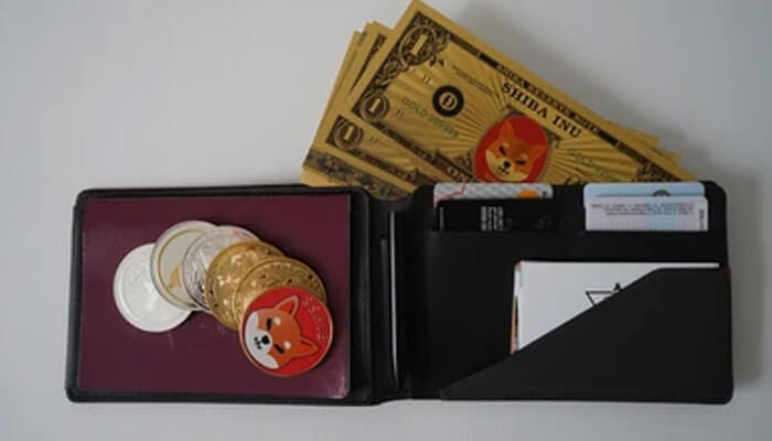 Top 5 Shiba Inu wallets in 2023