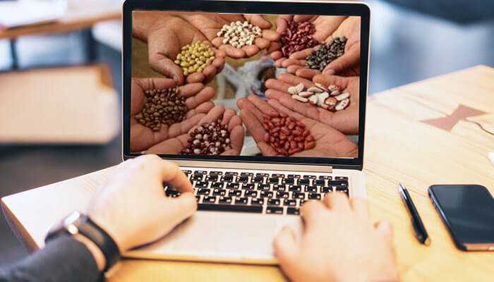 Best Seeds Online for Every Season: The Green Thumb Guide